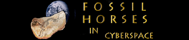 fossilhorsesincyberspace.gif