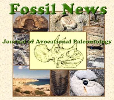 fossilnewscollage.jpg