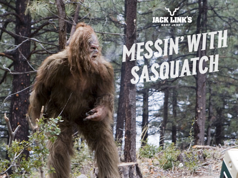 messinwithsasquatch.jpg